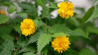 От запад облачността ще продължи да се разкъсва и да