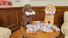 Хит в парламента: Пудели с пачки посрещат в "Музея на сглобката" (снимки)