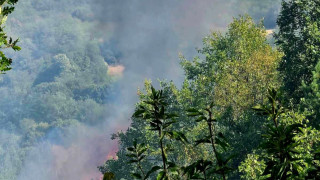 Екипи огнеборци и доброволци ще продължат днес обработването на в
