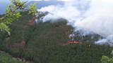  Глоба от 1 000 лева за палене на огън в гората 