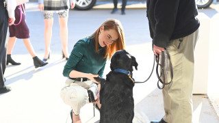 Днес 6 ноември рожден ден празнува американската актриса Ема Стоун