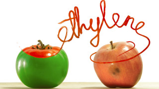 Винаги е добра идея да намалим количеството на хранителните отпадъци