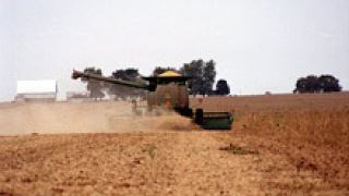 Зърнопроизводителите тръгват на протест с комбайни и трактори