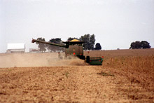 Държавата подпомага есенната кампания на зърнопроизводителите