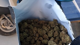 Спипаха бургазлия с близо три килограма марихуана около 15 гр