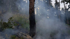 Борбата с пожарите в Югозападна България продължава