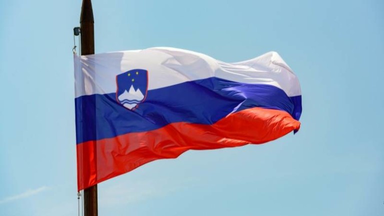 Словения гласува за евродепутати, но и на три референдума