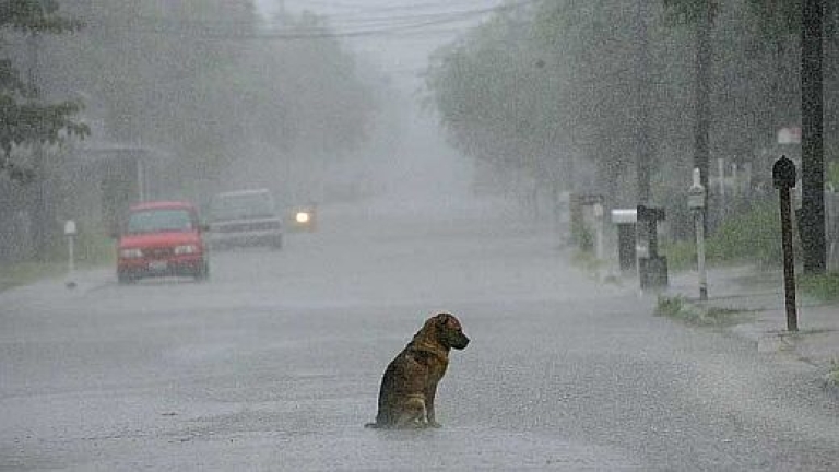 Изображение 76806