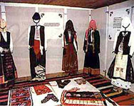 Музей на етносите в Златарица