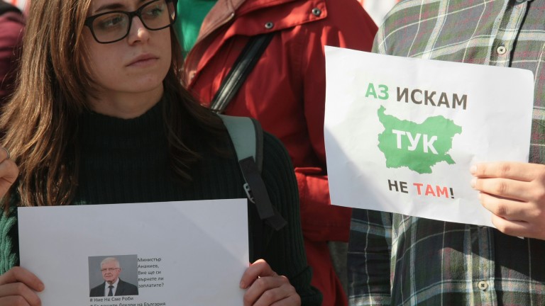 Изображение 447006