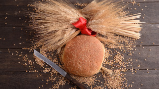 Житото е хибридно а хибридните храни отключват автоимунни заболявания казва