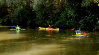 Лято приключения игри до късно навън край реката Такова детство