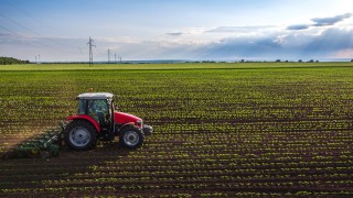 Само 1,5 % от фермерите обработват 85% от полетата на България