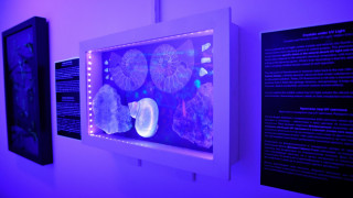 Отвори врати първият интерактивен музей на науката и изкуството в София