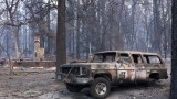  31 души са към този момент жертвите на огнения пъкъл в Калифорния 