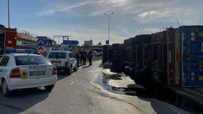 Изображение 479006