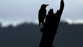 Облаци и дъжд в неделя