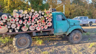 Инспектори от Изпълнителна агенция по горите ИАГ задържаха камион и