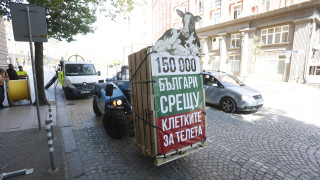 След 17 дни денонощен протест, "Невидими животни" прекрати акцията си пред НС