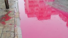 Странни червени локви хвърлиха в смут пловдивчани