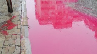 Странен случай в Пловдив Снимки на локви с червен цвят в