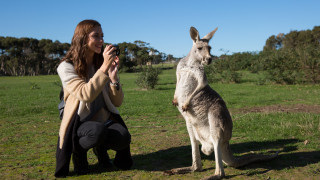 Класическото телевизионно шоу Skippy посветено на дете което говори с