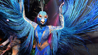 Хелоуин отмина и останаха само снимките и спомените от костюмите