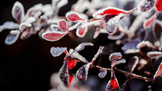 Атмосферното налягане ще продължи да се понижава и ще бъде