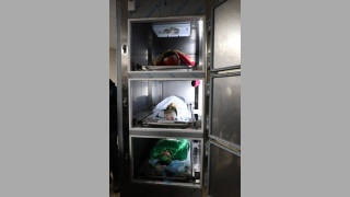 Израелската армия е убила трима палестинци в болница Ибн Сина