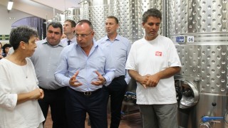 Над 200 хил. т грозде за вино е тазгодишната реколта