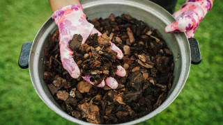 Защо да мулчираме градината през есента