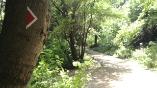 30 000 лева за поддръжка е получавала Витоша в последните