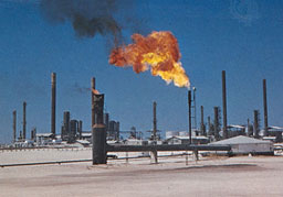 Цените на петрола отскочиха над $61 за барел