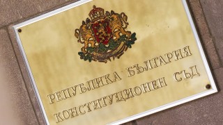 Конституционният съд отхвърли искането на бившия омбудсман Диана Ковачева да