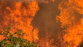 Голям пожар наложи спиране на тока и затвори път в Асеновградско
