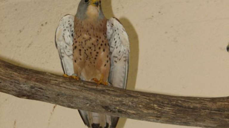 Изображение 83507