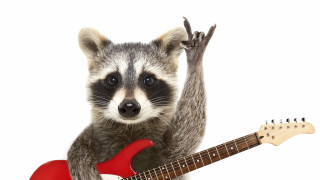 Хеви метълът е музикален стил който съществува от повече от