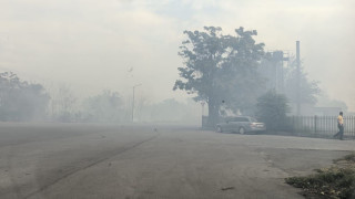 Висока суха растителност треви а пламнала днес в близост до