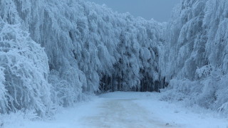 Силен студен фронт преминаващ през Южна Африка донесе обилни снеговалежи