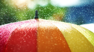 През нощта в западната половина от страната ще бъде предимно