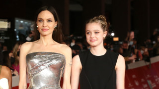 Докато разводът и съдебните битки между Анджелина Джоли и Брад