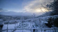 Сняг за Коледа