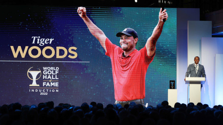 Признанието за Тайгър Уудс