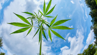 През март 2020 г ракетата Dragon на SpaceX ще отнесе