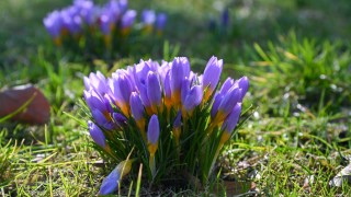 Днес ще бъде слънчево и почти тихo Това съобщават от