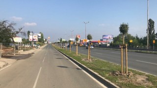Прерязаха 29 новозасадени дървета на Софийското околовръстно