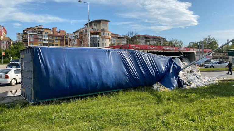 Изображение 479007