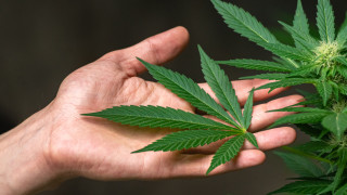 Полицията в Своге е привлякла като обвиняеми двама криминално проявени