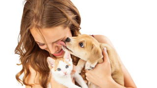 Не се бяхме замисляли че повечето домашни любимци живеят живот