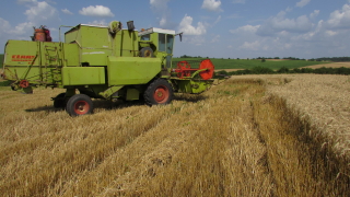 Беларус пак наложи забрана за износ на зърно за срок